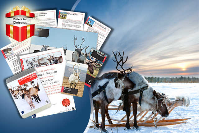 1-Year 'Adopt a Reindeer' Pack