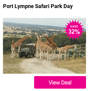 Save 32% on a day entry ticket to Port Lympne Reserve, including a Safari Truck ride through the reserve - Home to over 700 animals across 600 acres in Kent & part of the Howletts Wild Animal Trust, dedicated to wildlife conservation and breeding endangered species
