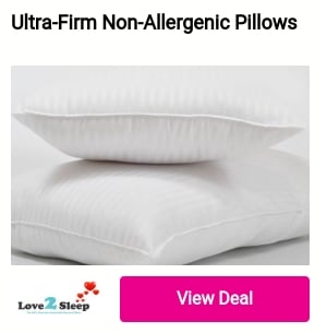 Ultra-Firm Non-Allergenic Pillows 
