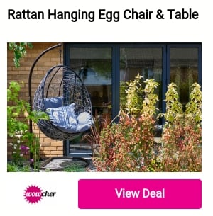 Rattan Hanging Egg Chair Table 