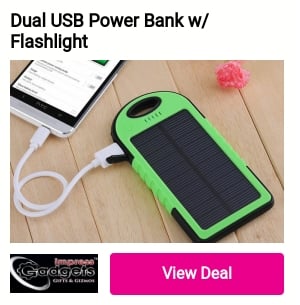 Dual USB Power Bank w Flashlight 