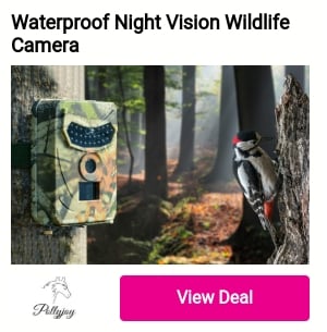 Waterproof Night Vision Wildlife 