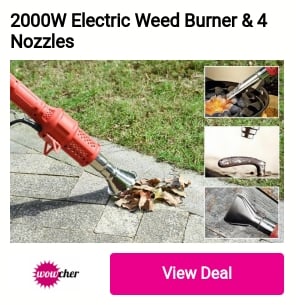 2000W Electric Weed Bumer 4 Nozzles o BT 