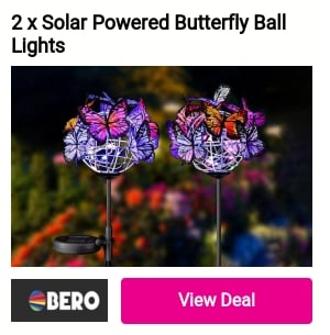 2 x Solar Powered Butterfly Ball Lights E 
