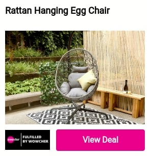Rattan Hanging Egg Chair 