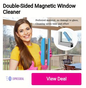 Double-Sided Magnetic Window Cleaner 