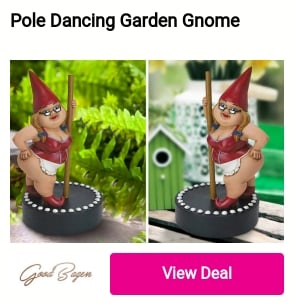Pole Dancing Garden Gnome 