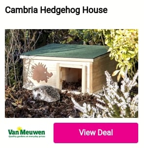Cambria Hedgehog House 
