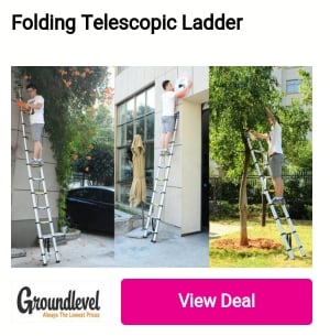 Folding Telescopic Ladder 