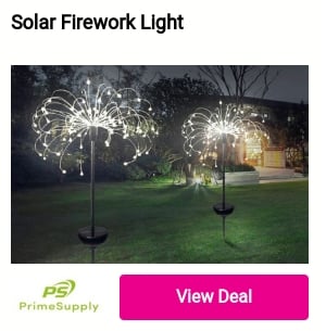 Solar Firework Light 