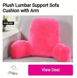 Plush Lumbar Support Sofa Cushion with Arm 5 Pty 