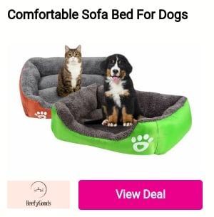 Comfortable Sofa Bed For Dogs ottt 