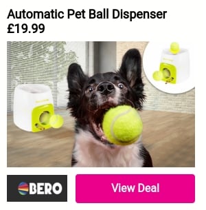 Automatic Pet Ball Launcher 19.99 ? U - 