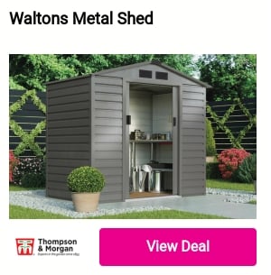 Waltons Metal Shed 