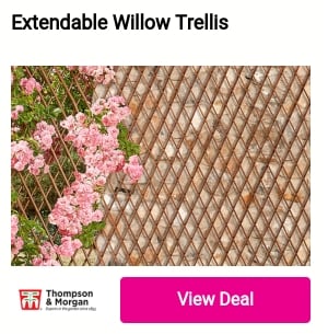 Extendable Willow Trellls 