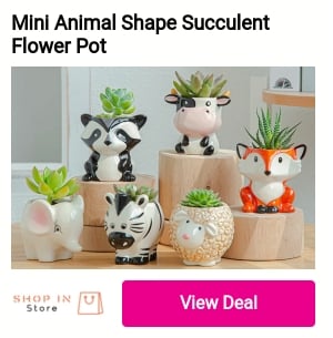 Mini Animal Shape Succulent Flower Pot LCTL 