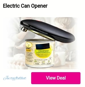 Electric Can Opener LCTL 