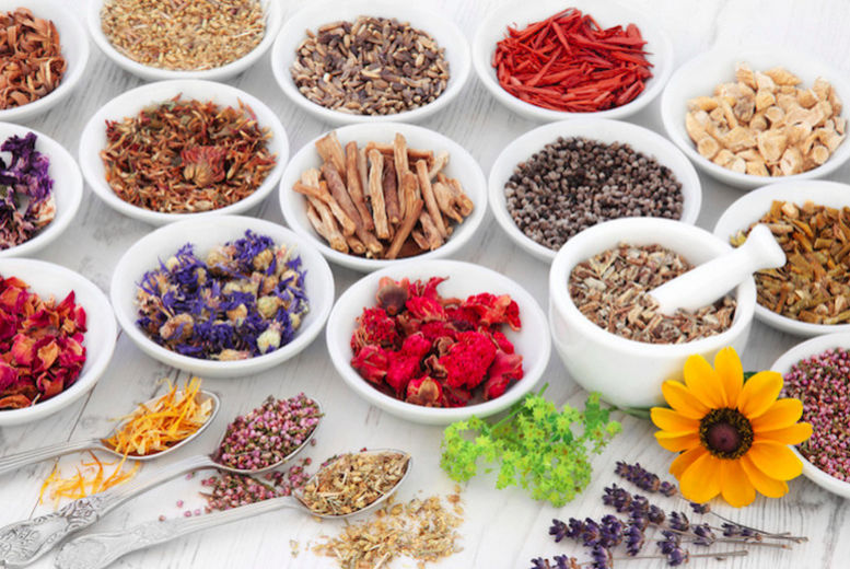 Master Herbalist Online Course – CPD Certified! Deal Price £16.00