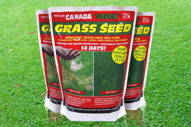 Canada ‘Green’ Grass Seed Bag | Shop | Wowcher