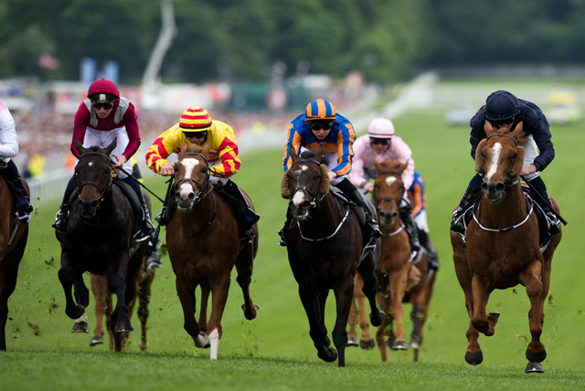 VIP Hospitality Day at Epsom Derby | London