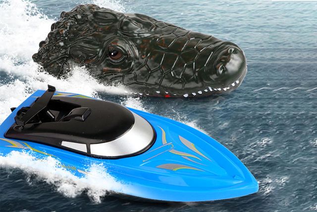 crocodile racing boat