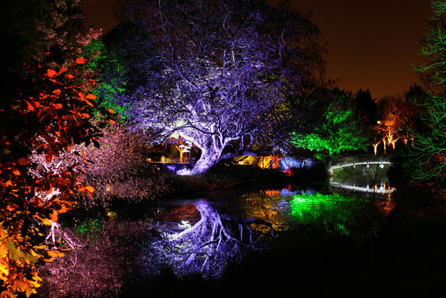 Enchanted Woodland Tickets for 2 @ Syon Park, Brentford