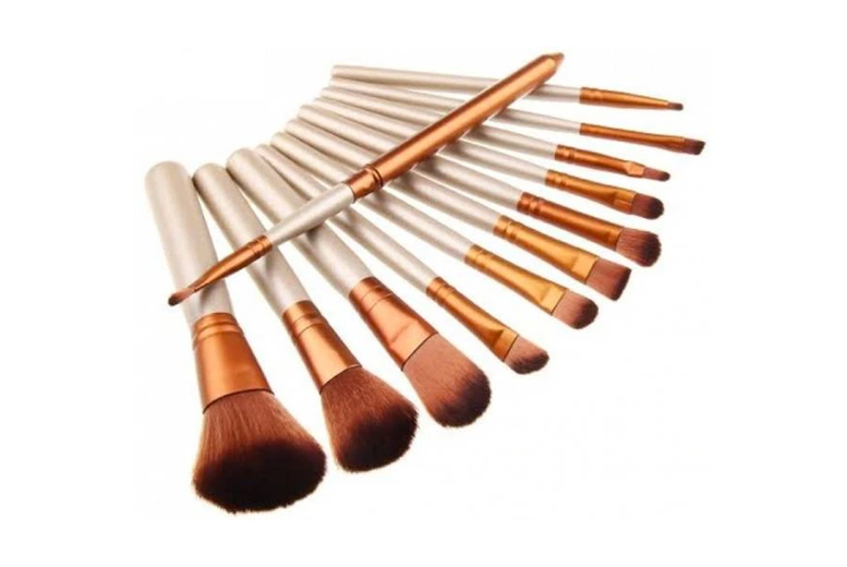 12pc Professional Makeup Brush Set with Stylish Metal Case | Wowcher