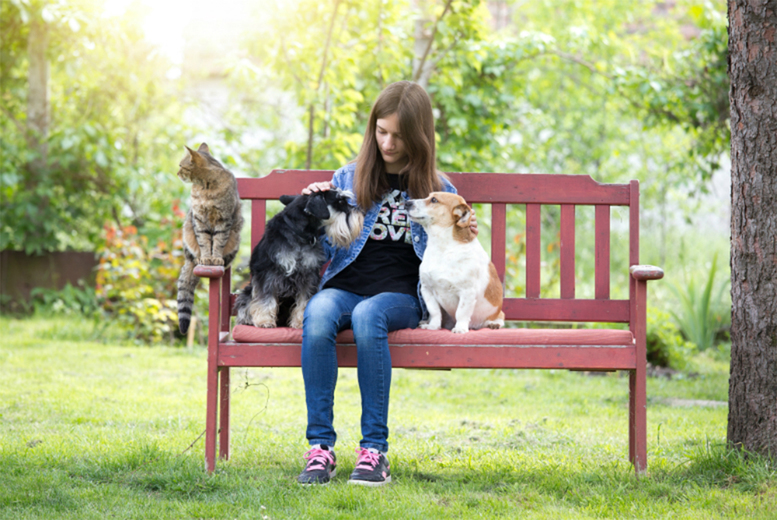 Online Cat & Dog Care Training Course – CPR, First Aid & Pet Business Skills | Wowcher