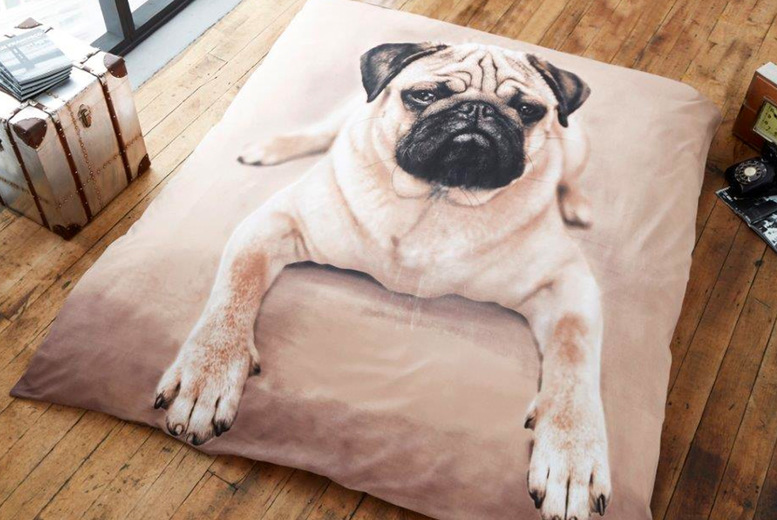3D Print Pug Throw – 2 Sizes | Wowcher