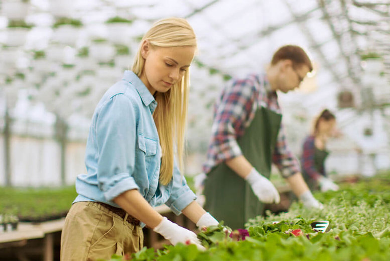Online Horticulture & Organic Gardening Course | Learning deals in Blackpool