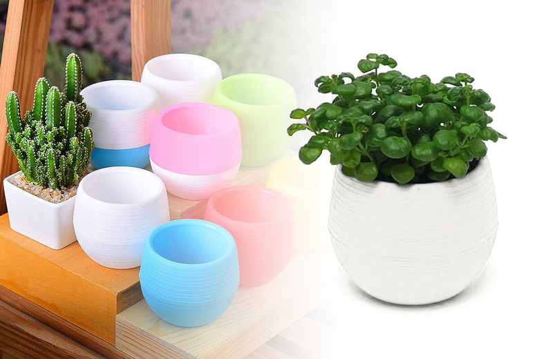 Colourful Mini Plant Pots – Pack of 10 Deal Price £9.99