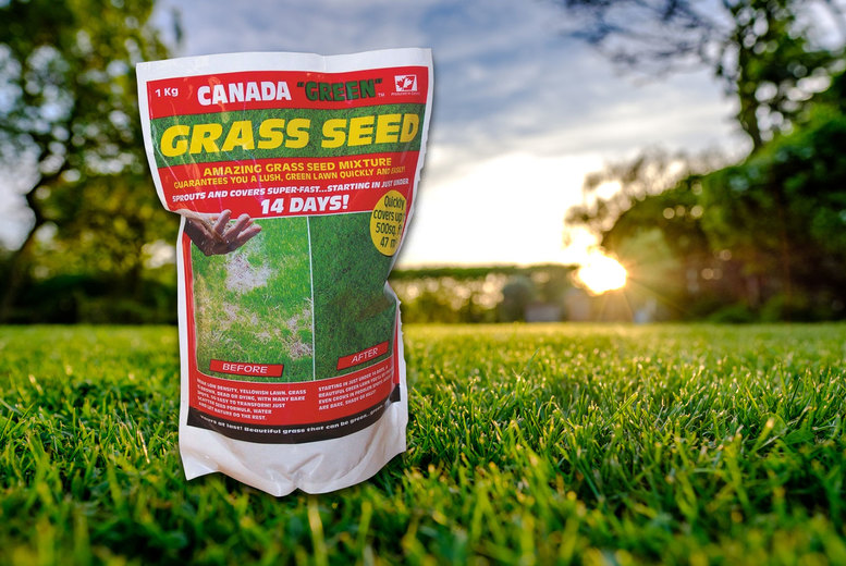 1kg Canada Green Grass Seed Deal Price £12.00