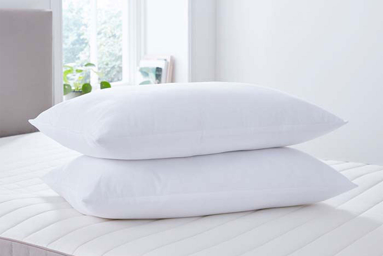 Set of 2 Microfiber Pillows Deal Price £14.99