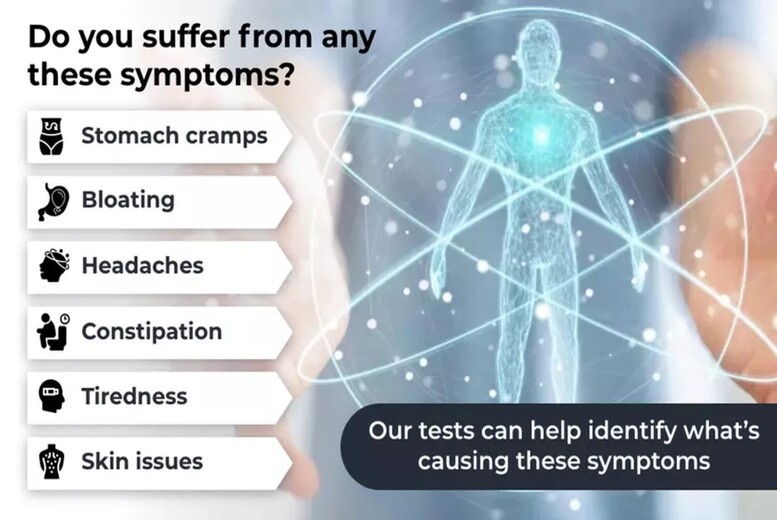 At-Home Food Intolerance & Sensitivity Reactivity Test – 165 to 1000 Items Checked – Health MOT by Checkmybodyhealth | Wowcher