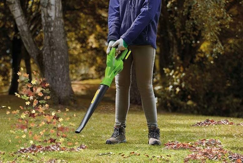 Leaf Blower Pussy