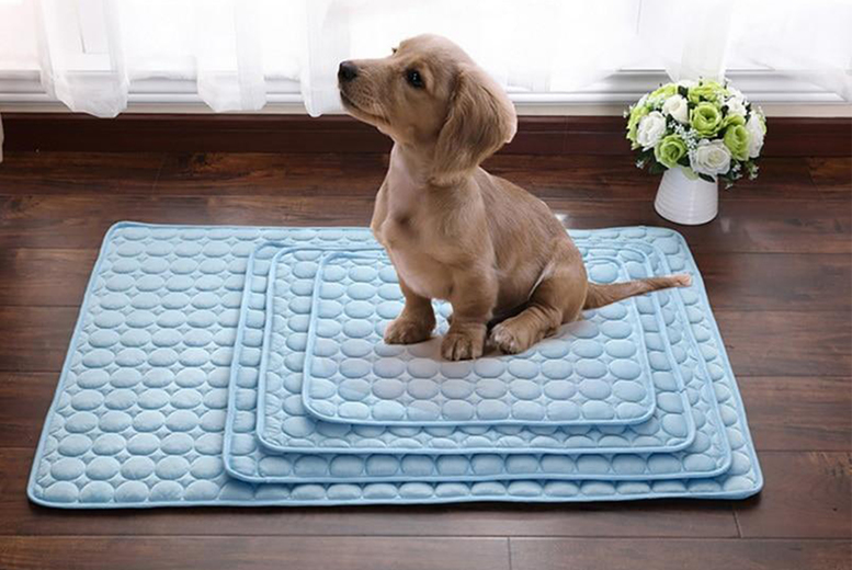 Pet Summer Cooling Mat