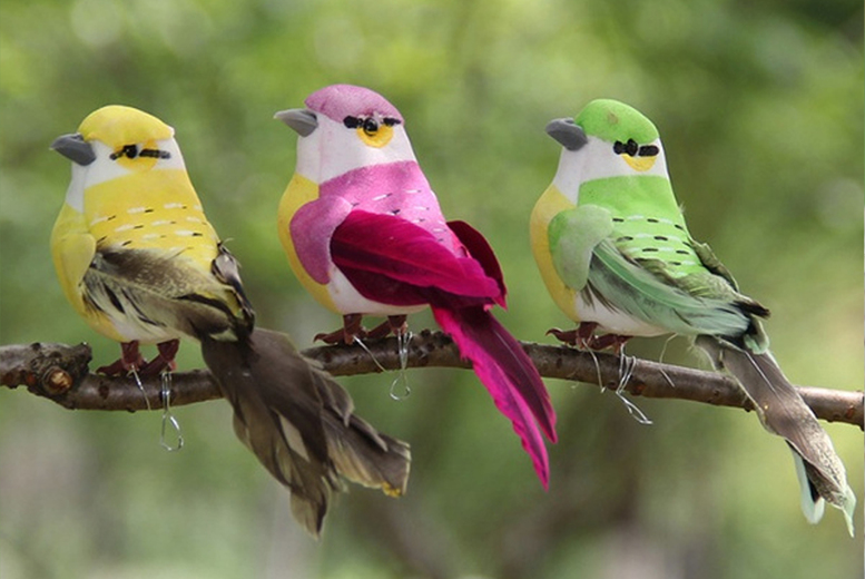 12pc Realistic Bird Garden Ornaments – Outdoor Decor | Wowcher