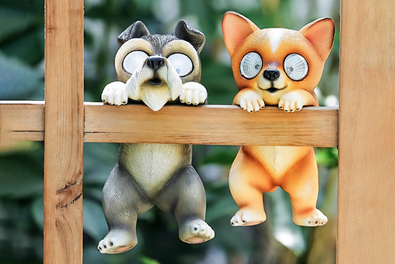 Quirky Animal Hanging Solar Garden Light at LivingSocial