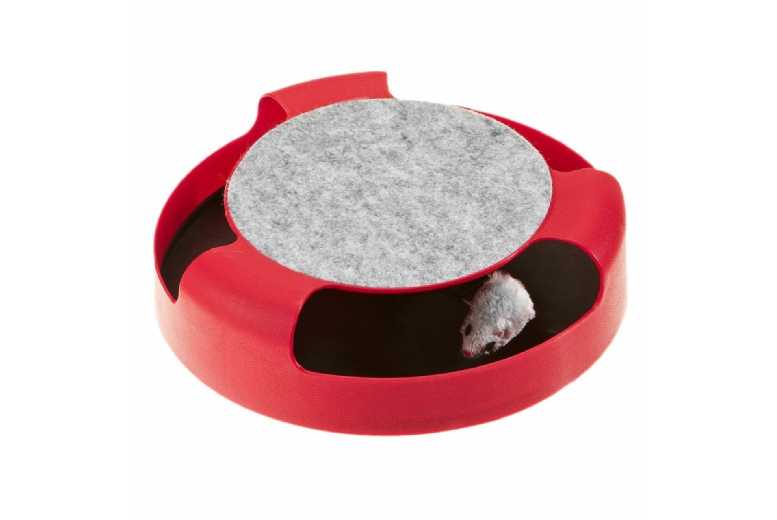 Catch The Mouse Interactive Pet Toy | Wowcher