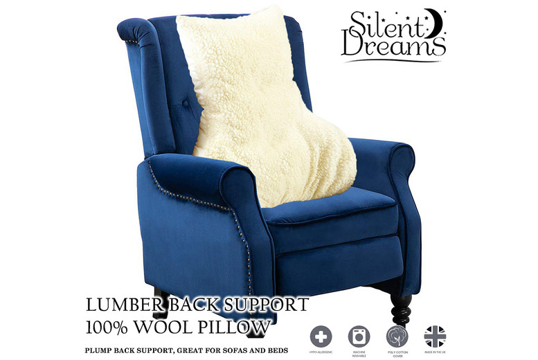 Fleece Lumbar Support Pillow Deal Price £11.99
