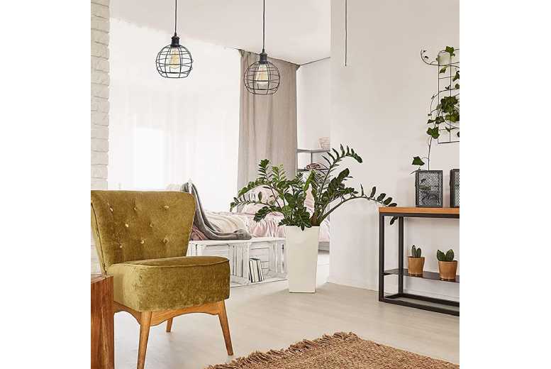 Chic LED Pendant with Enchanting Bird Cage and Vintage Lamp | Wowcher Chic LED Pendant with Enchanting Bird Cage and Vintage Lamp | Wowcher