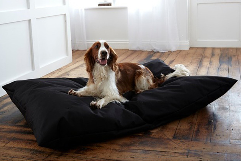 Extra-Large Pet Bed With A Removable Zipped Cover – Black Deal Price £12.99