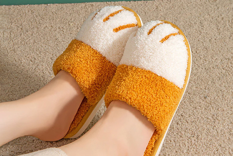 Women’s Cute Cat Paw Slippers Deal Price £11.99