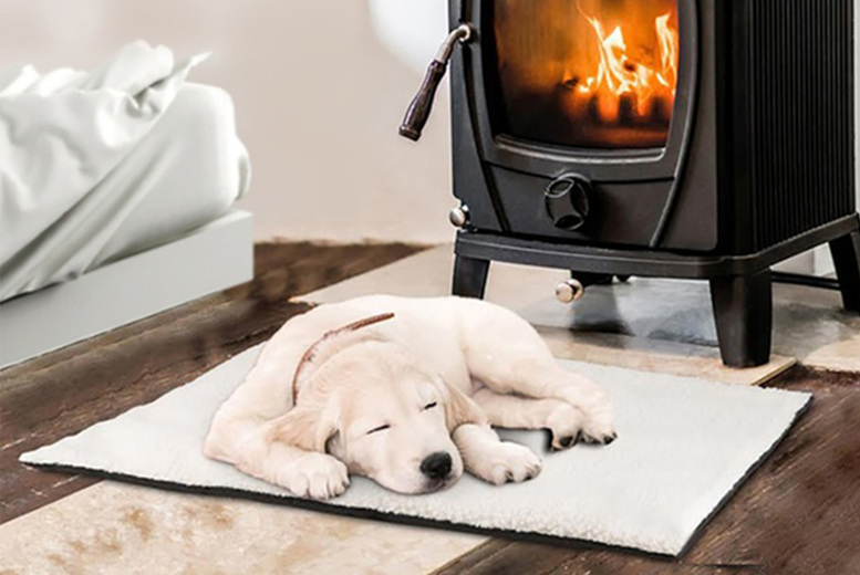 Self-Heating Pet Beds – 1 or 2! Deal Price £5.99