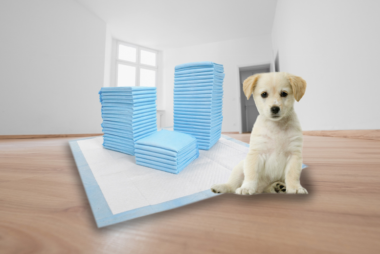 Puppy Training Pads – 50, 100, 150 or 200 Deal Price £9.99