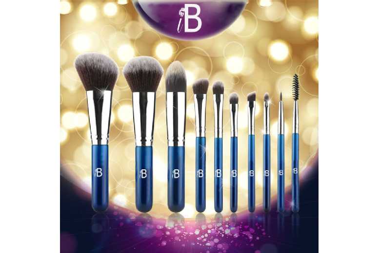 10pc Brush Set With Carry Case Deal Price £7.99
