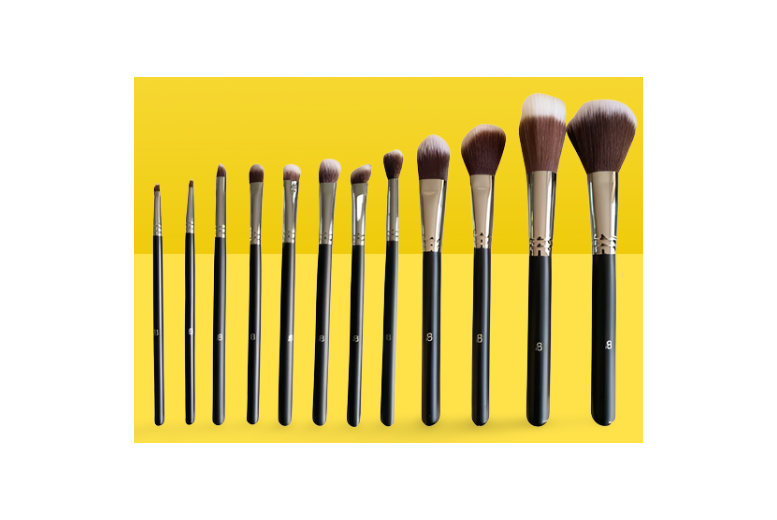 12p Professional iB Makeup Brush Sets at LivingSocial