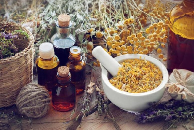 CPD Certified Holistic Herbal Healing Online Course | Wowcher