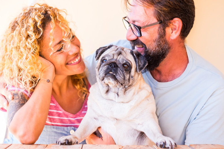 Senior Pet Care Online Course with Certification – Expert Guidance by Dr. Pippa Elliott | Wowcher