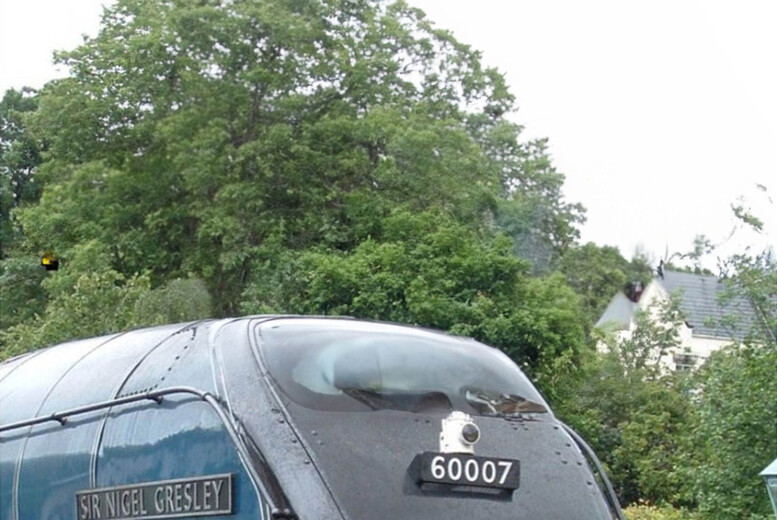 “Murder on the Disorientated Express” At Home Murder Mystery | Wowcher